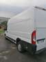 Fiat Ducato FIAT DUCATO EURO6 MAXI TETTO RIALZATO PASSO LUNGO Blanco - thumbnail 4