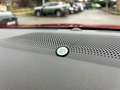 Ford Kuga ST-Line X,B&O,Kamera,Allw.,schw. AHK,Pano Rot - thumbnail 23