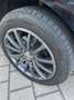 Ford Fiesta Fiesta 1.25 Ambiente Schwarz - thumbnail 9