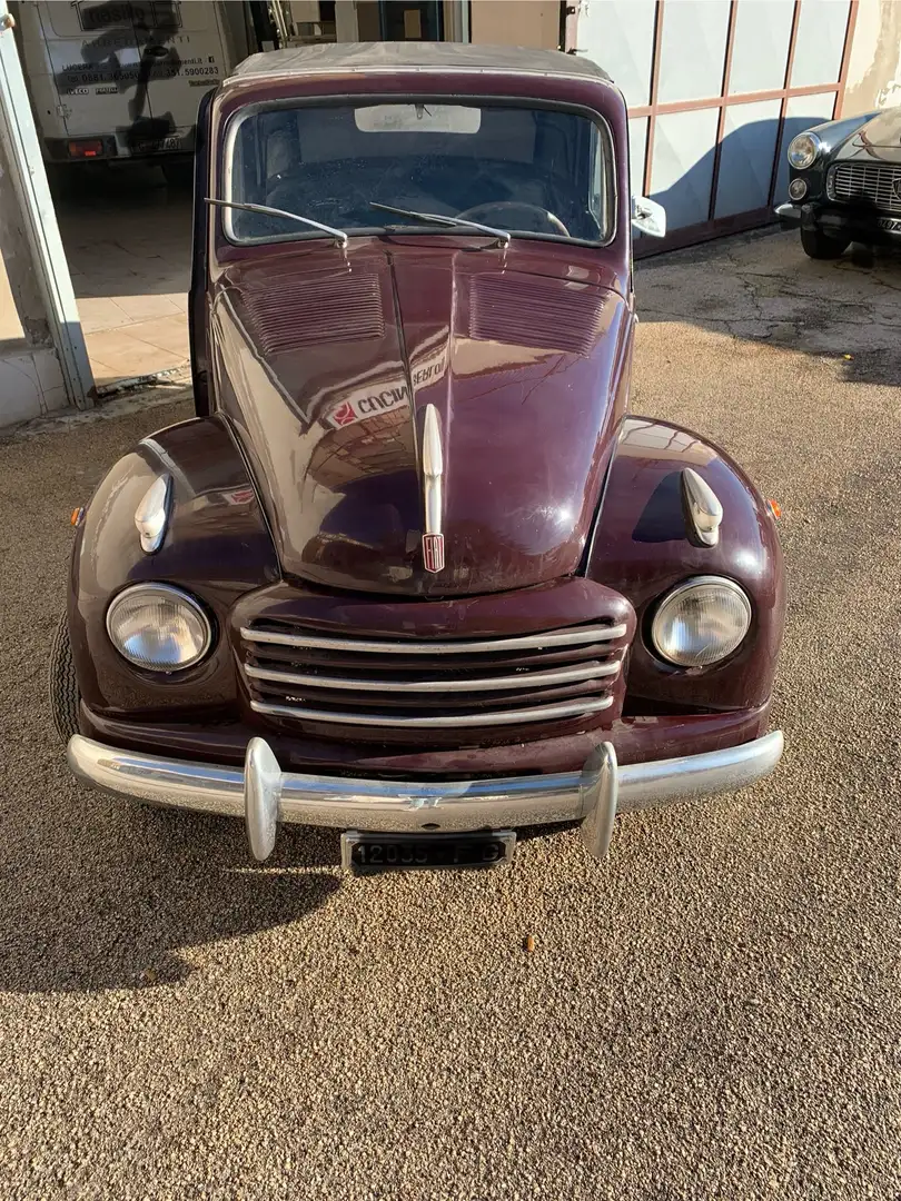 Fiat 500C Violett - 2