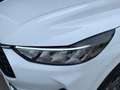 Ford Kuga ST-Line X 2.5 Duratec PHEV 178kW Auto Blanco - thumbnail 19