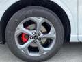 Ford Kuga ST-Line X 2.5 Duratec PHEV 178kW Auto Blanco - thumbnail 18