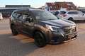 Subaru Forester 2.0ie EDITION EXCLUSIVE CROSS *Aktion* Grau - thumbnail 4