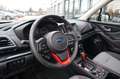 Subaru Forester 2.0ie EDITION EXCLUSIVE CROSS *Aktion* Grau - thumbnail 12