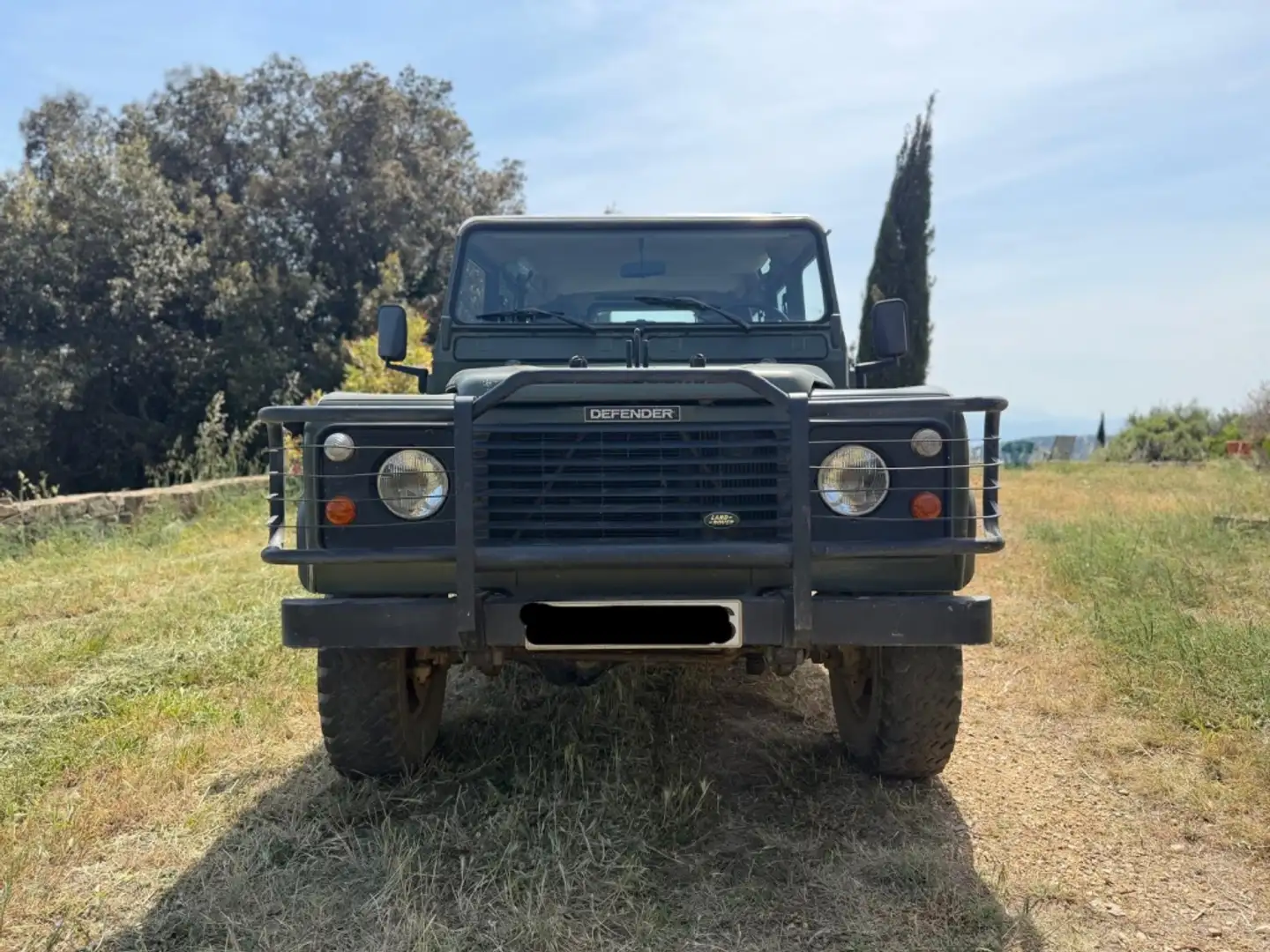 Land Rover Defender 110 TDI SW Verde - 2