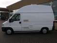 Citroen Jumper CAMPER 2.5D *GEEN APK* VEEL ROEST - OP Blanc - thumbnail 4