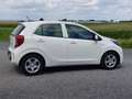 Kia Picanto 1.0 DPi ComfortLine AIRCO | CRUISE | rijklaarprijs Wit - thumbnail 3