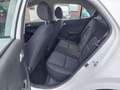Kia Picanto 1.0 DPi ComfortLine AIRCO | CRUISE | rijklaarprijs Wit - thumbnail 7
