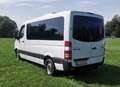 Mercedes-Benz Sprinter 318 CDI 3,0t / 3250 mm Aut. Weiß - thumbnail 7