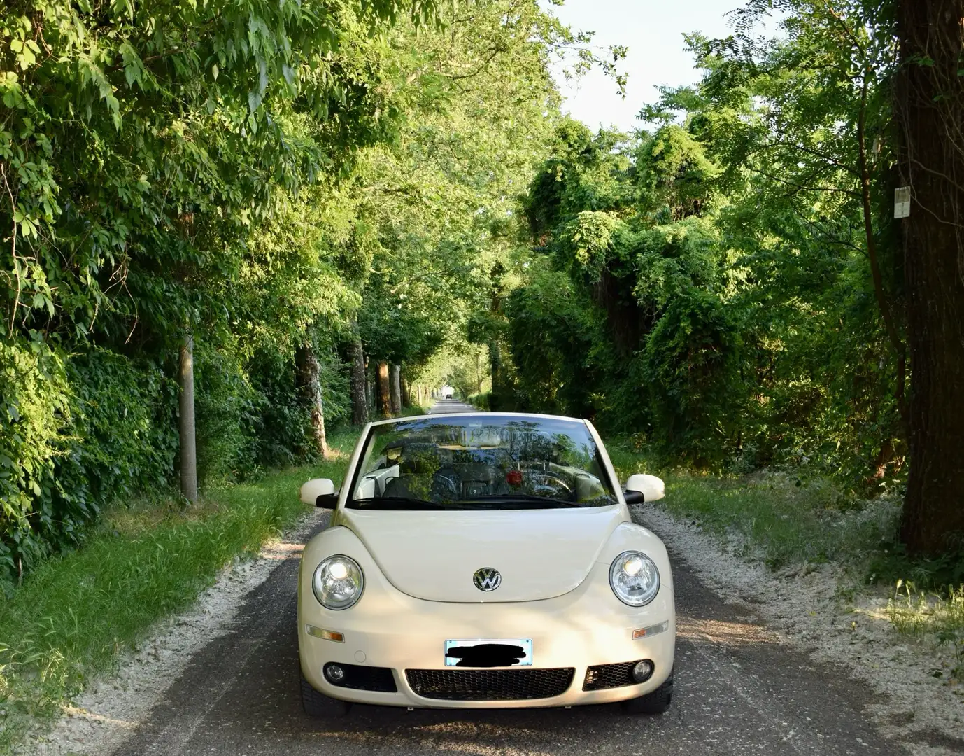 Volkswagen New Beetle Cabrio 1.4 Beige - 2