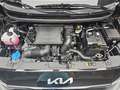 Kia Picanto PICANTO 1.0 EDITION 7 MJ25 Schwarz - thumbnail 16