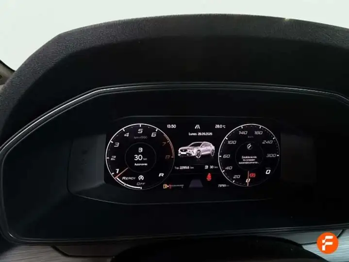Cupra Formentor 1.5 TSI 2021, foto 14