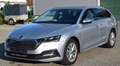 Skoda Octavia 2.0 TDI DPF Style 4x4 (EURO 6d) Silber - thumbnail 1