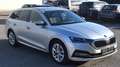 Skoda Octavia 2.0 TDI DPF Style 4x4 (EURO 6d) Silber - thumbnail 3