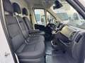 Peugeot Boxer 35 L4H2 140 *360°PDC*Kamera*Tempomat*Holz Weiß - thumbnail 7