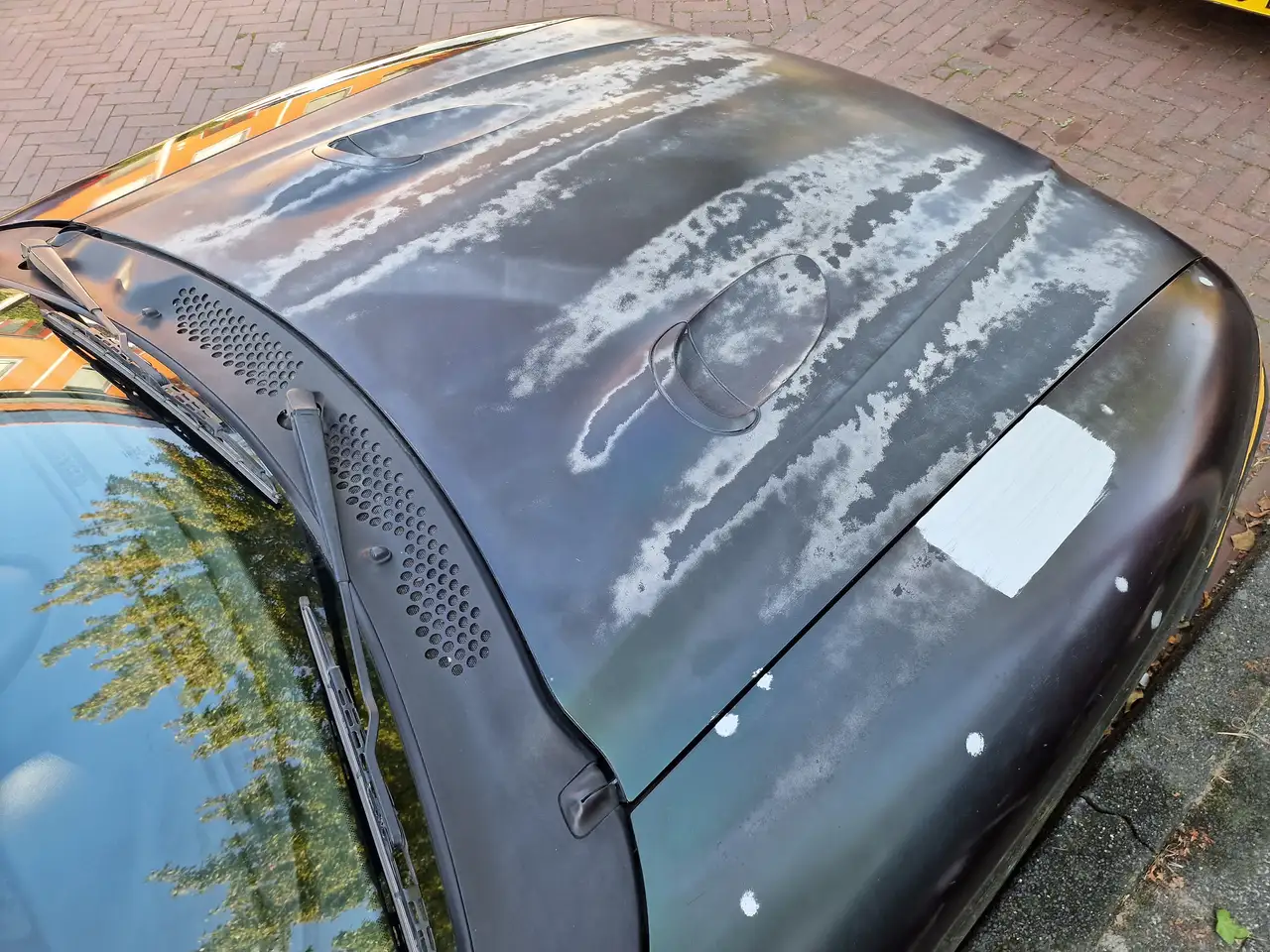 Ford Mustang Cobra mystic, foto 9