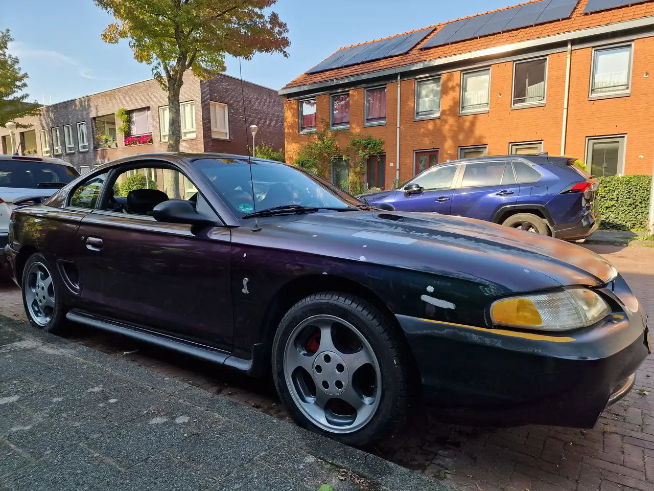 Ford Mustang Cobra mystic, foto 12