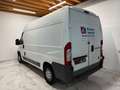 Fiat Ducato Ducato 35 2.2 MJT PC-TN Furgone Bianco - thumbnail 5