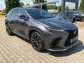 Lexus NX 450h+ F Sport LED,Leder,Head UP,360 Kamera Gri - thumbnail 7