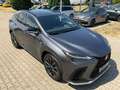 Lexus NX 450h+ F Sport LED,Leder,Head UP,360 Kamera Grau - thumbnail 11