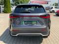 Lexus NX 450h+ F Sport LED,Leder,Head UP,360 Kamera Gri - thumbnail 5