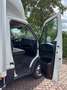 Iveco Daily 35C16 Laadklep (15 diverse modellen op voorraad) Wit - thumbnail 20