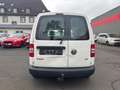 Volkswagen Caddy 1.6 TDI Kasten EcoProfi-KLIMA-AHK- Weiß - thumbnail 5