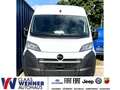 Opel Movano Kasten L2H2 3,3 to zGG. 140 PS - 10x vorhanden! Weiß - thumbnail 1