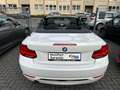 BMW 218 i Cabrio Sport Line*PDC*LED*NAVI*DAB*AHK Beyaz - thumbnail 8