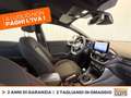 Ford Puma 1.0 ecoboost h st-line s&s 125cv Red - thumbnail 7