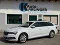 Skoda Superb Kombi 2,0 TDI 4x4 Ambition DSG Weiß - thumbnail 2
