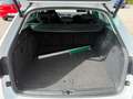 Skoda Superb Kombi 2,0 TDI 4x4 Ambition DSG Weiß - thumbnail 7