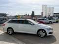 Skoda Superb Kombi 2,0 TDI 4x4 Ambition DSG Weiß - thumbnail 4