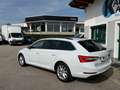 Skoda Superb Kombi 2,0 TDI 4x4 Ambition DSG Weiß - thumbnail 6
