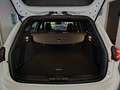 Ford Focus SW 1.0 Ecoboost Hybrid 125cv ST-Line Style Blanc - thumbnail 6