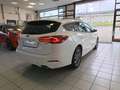 Ford Focus SW 1.0 Ecoboost Hybrid 125cv ST-Line Style Blanc - thumbnail 14