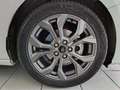 Ford Focus SW 1.0 Ecoboost Hybrid 125cv ST-Line Style Blanc - thumbnail 11