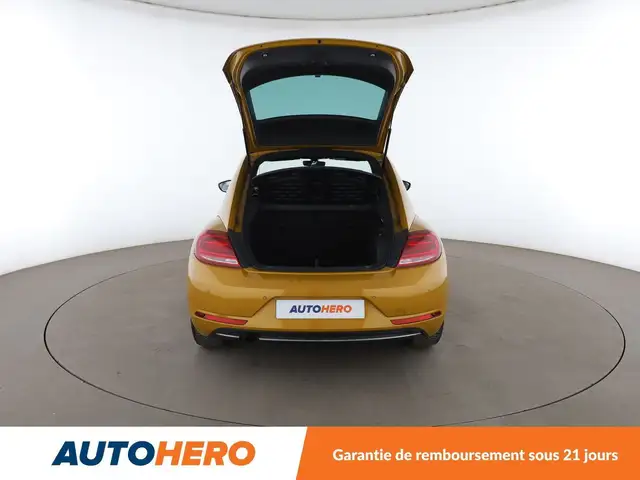 Volkswagen Beetle view 16
