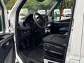 Mercedes-Benz Sprinter 316 CDI KA L2H2 Kamera BOTT AHK3,5t Blanc - thumbnail 12