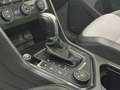 Volkswagen Tiguan 2,0 TDI SCR 4Motion  DSG R line Panoramadach Blau - thumbnail 18