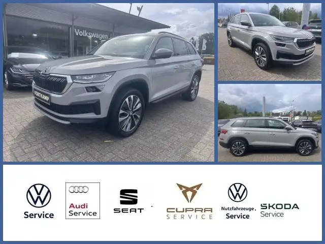 Skoda Kodiaq Tour DSG AHK/Kamera/Matrix
