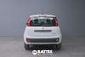 Fiat Panda 1.0 Firefly Hybrid 70CV 5p.ti + Pack City Weiß - thumbnail 24