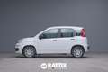 Fiat Panda 1.0 Firefly Hybrid 70CV 5p.ti + Pack City Weiß - thumbnail 2