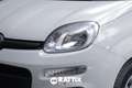 Fiat Panda 1.0 Firefly Hybrid 70CV 5p.ti + Pack City Weiß - thumbnail 22
