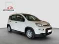 Fiat Panda 1.0 GSE Hybrid + Techpaket Weiß - thumbnail 8