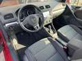 Volkswagen Golf Cabriolet 1.2 TSI Gps 64.000kms✅ Gps✅ Bt✅ DAB✅ Rojo - thumbnail 8