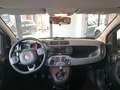 Fiat Panda 1.2 Lounge Wit - thumbnail 17