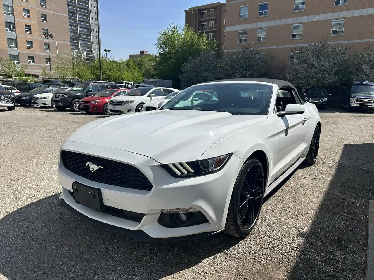 Ford Mustang снимка Ford Mustang