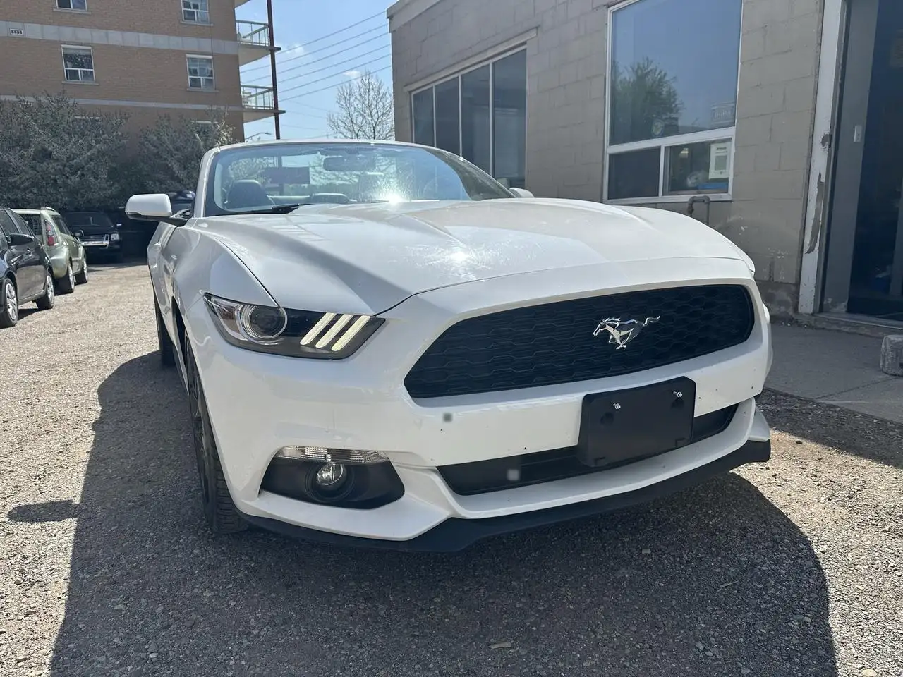 Ford Mustang снимка Ford Mustang