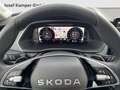 Skoda Octavia Selection TDI DSG Grau - thumbnail 19